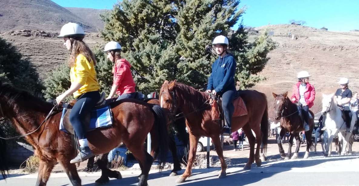 South Africa: 2-Day Lesotho Pony Trek & 4x4 Sani Pass Ride - Good To Know