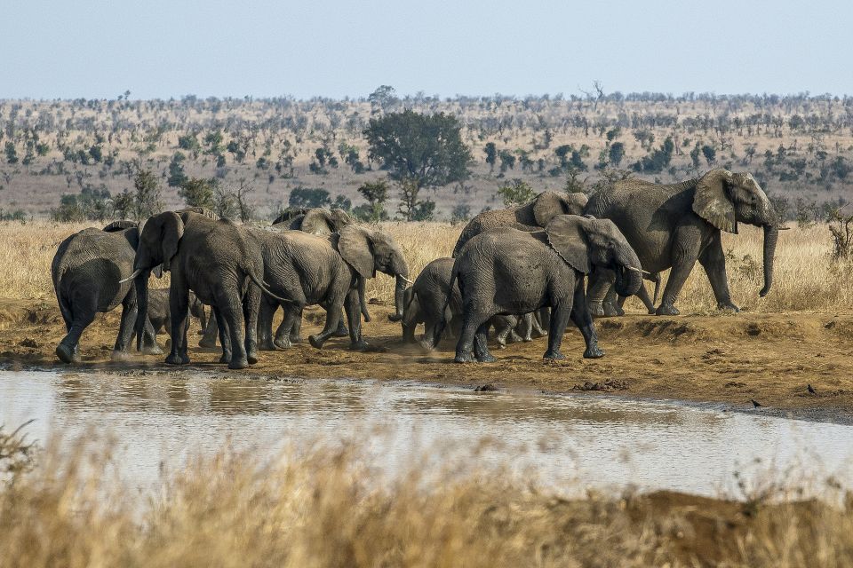 South Africa to Kruger National Park Adventure - Good To Know