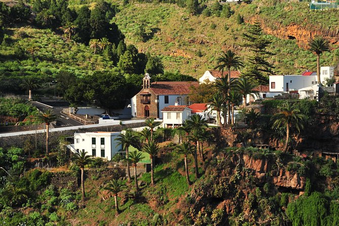 Special Cruise Tour Center and South La Palma Review - Key Points