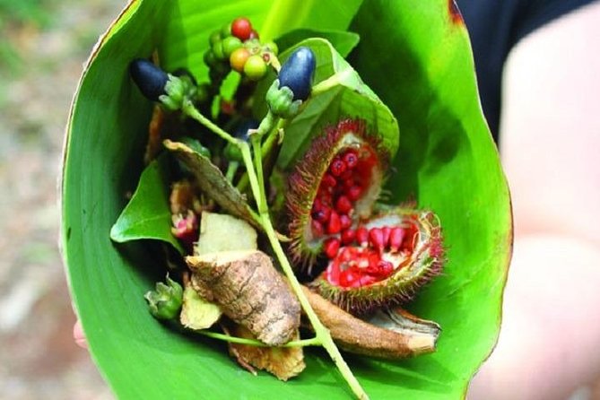 Spice Tour & Cooking Class in Zanzibar - Good To Know