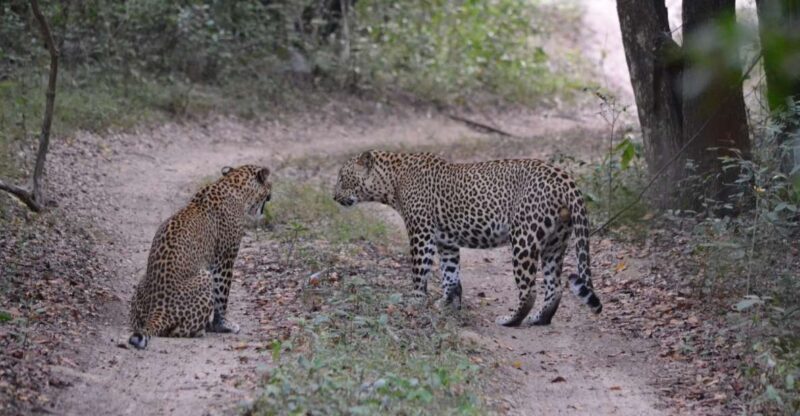 Sri Lanka 2-Day National Parks Trip - Good To Know