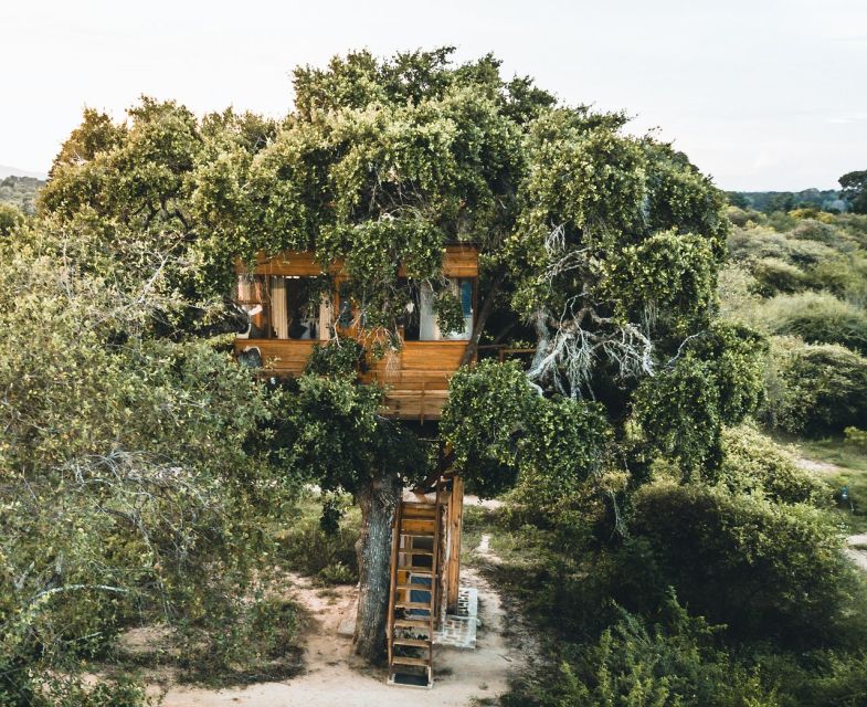 Sri Lanka: 3-Day Private Nature Trip to Belihuloya & Yala - Good To Know