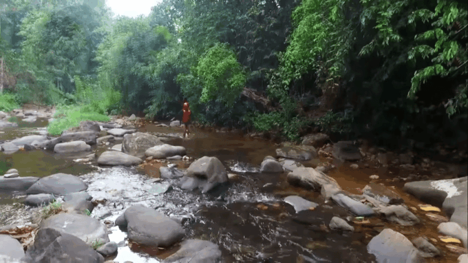Sri Lanka 3-Day Wildlife, Rainforest, Hill Country Train - Inclusions