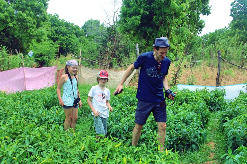 Sri Lanka: 5-Hour Guided Tour of Ella Village - Good To Know