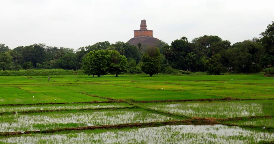 Sri Lanka: 7-Days Heritage Tour - Good To Know