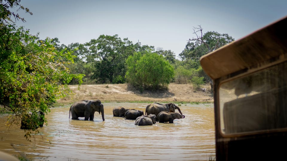 Sri Lanka: Cultural Triangle Full Circle on Beaten Path - Good To Know