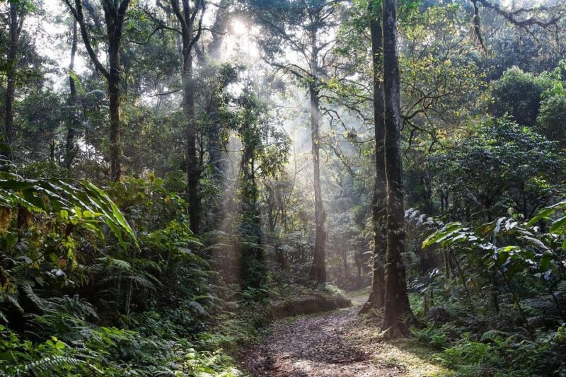 Sri Lanka Trekking, Hiking 5 Days Tour - Good To Know