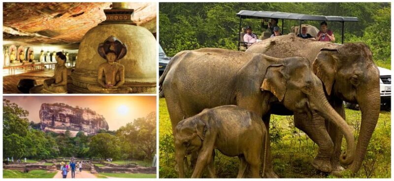 Sri Lanka: Western Province Highlights Day Tour and Safari - Good To Know