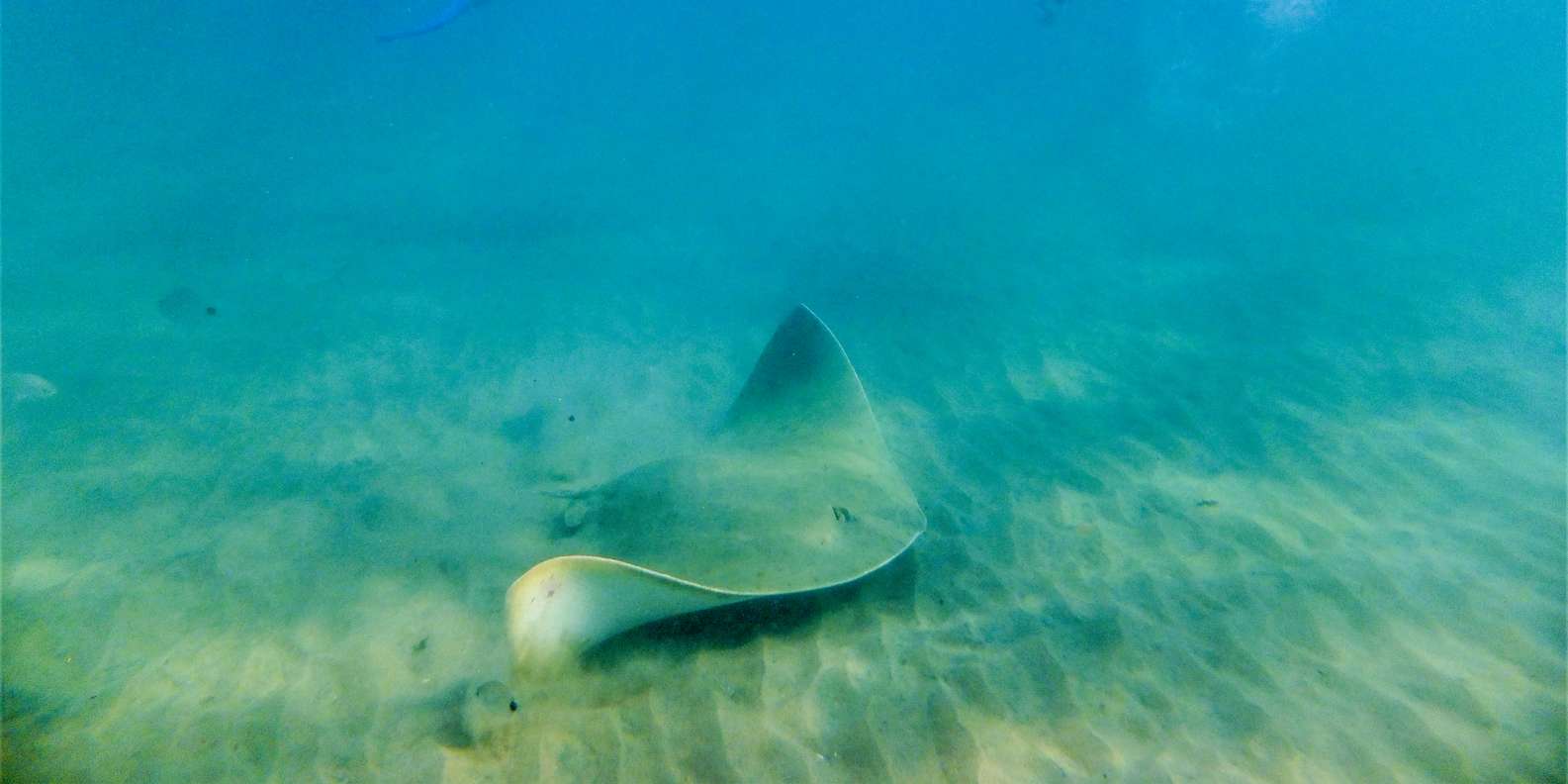 St. Lucia: Cape Vidal Snorkeling Adventure - Good To Know