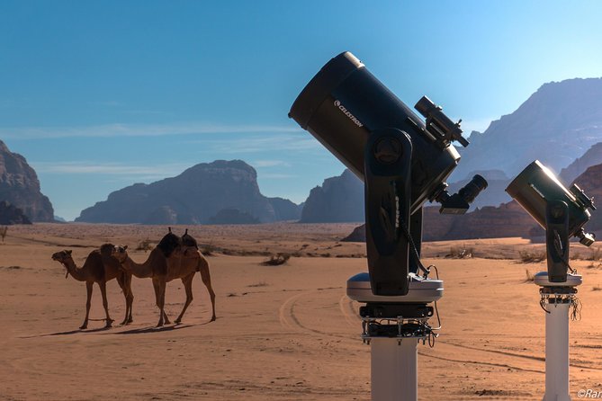 Stargazing Adventure in Jordan - Good To Know