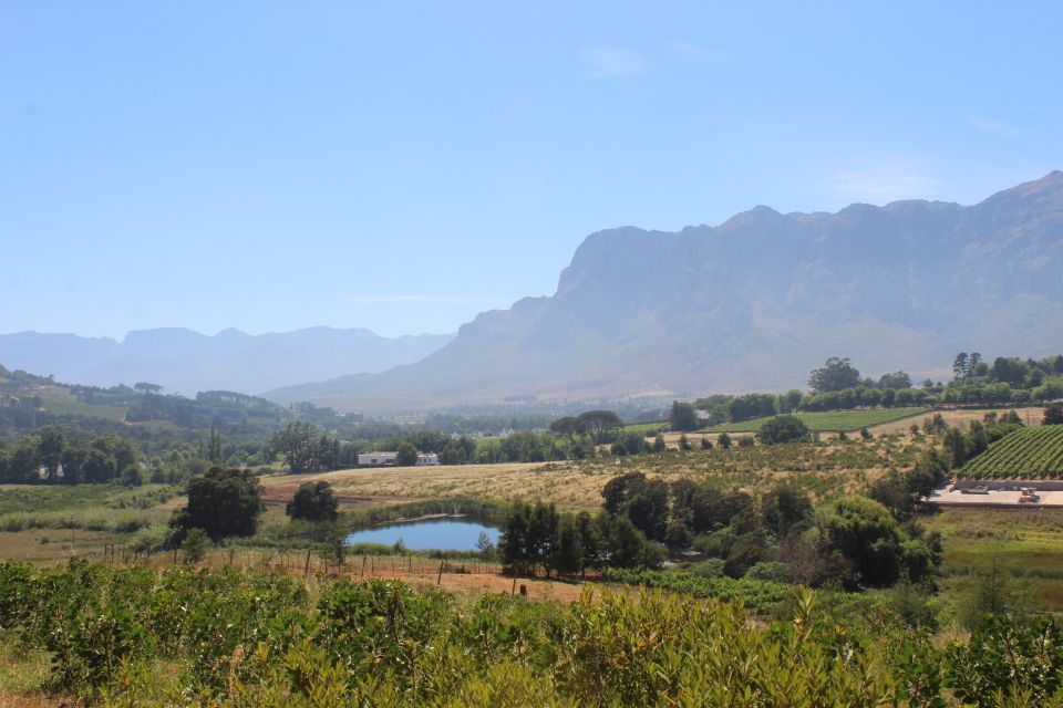 Stellenbosch: Countryside Banhoek Valley E-Bike Wine Tour - Good To Know