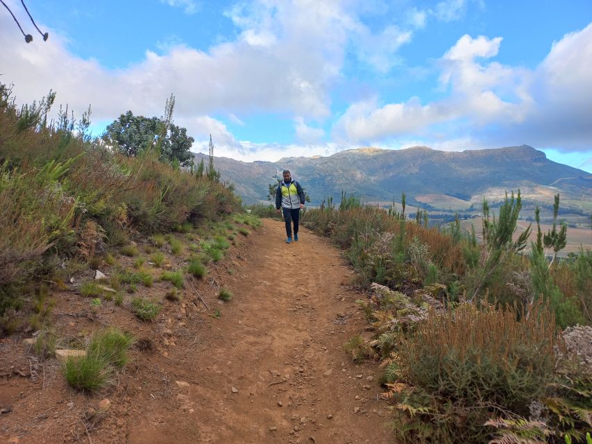 Stellenbosch: Half-Day Guided Nature Hike and Wine Tasting - Good To Know