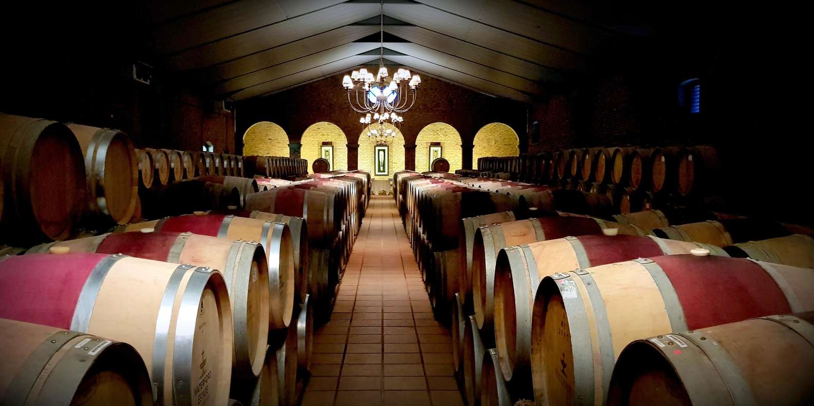 Stellenbosch Mavericks Wine Tasting Tour - Tour Overview