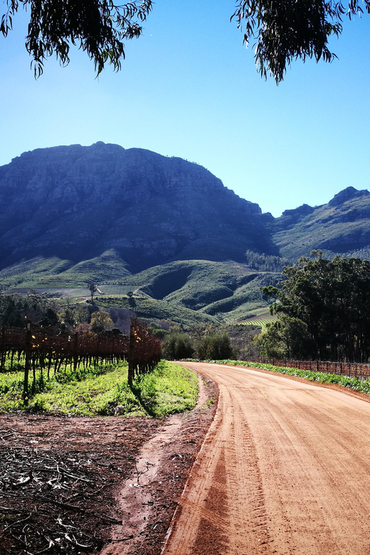 Stellenbosch: Stellenbosch E-Bike & Wine Tour (Shared Tour) - Good To Know