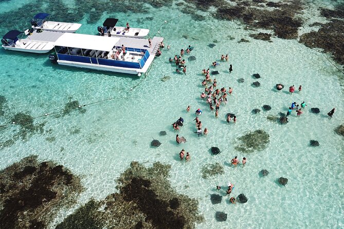 Stingray City Experience Antigua - ONLY TICKET - Good To Know