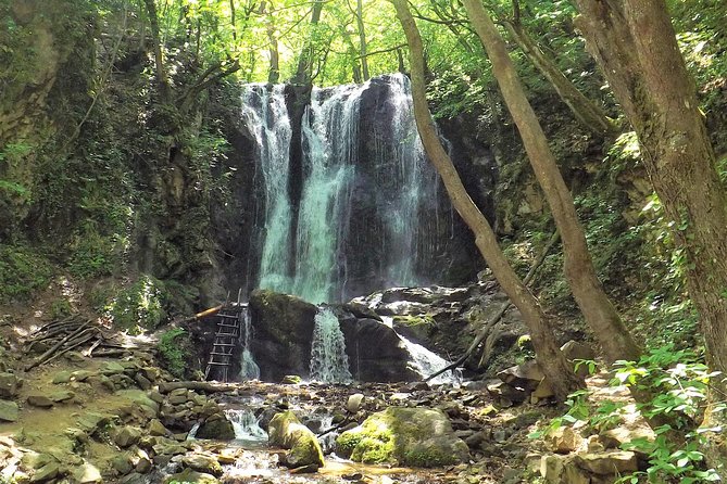 Strumica Monasteries and Waterfalls Tour From Skopje - Key Points
