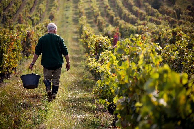 Summerland Wine Tour Full Day Guided With 5 Wineries - Good To Know