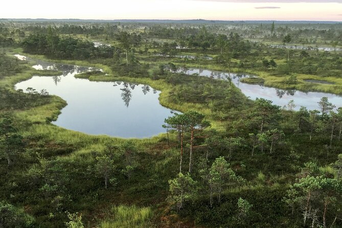 Sunrise at Kemeri National Park - Park Overview