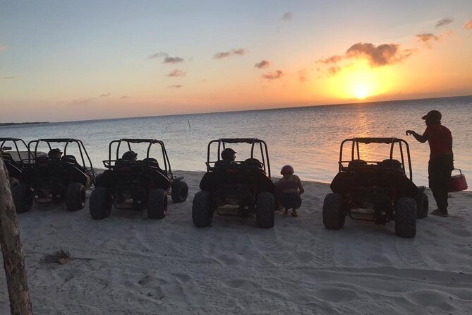 Sunset Dune Buggy Tour & Wildlife Eco-nature Park Adventure(min2) - Good To Know