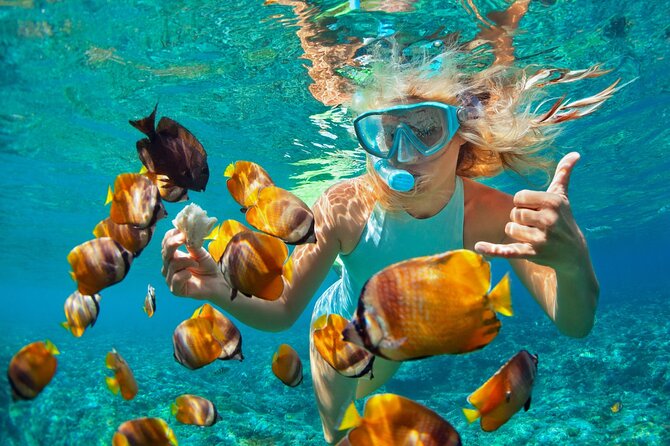 Sunset & Snorkelling Half Day Private Guided Tour in Costa Rica - Good To Know