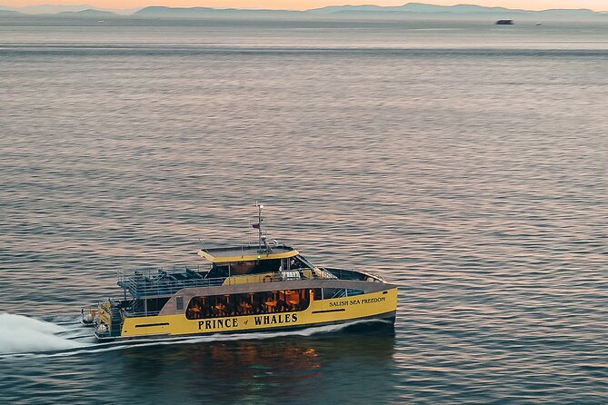 Sunset Whale Watching Adventure From Victoria - Good To Know