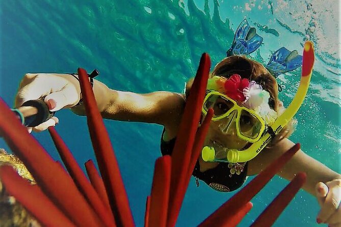 Super Raft - Private Charter Maui 3 Hour Snorkel to Coral Gardens or Molokini - Good To Know