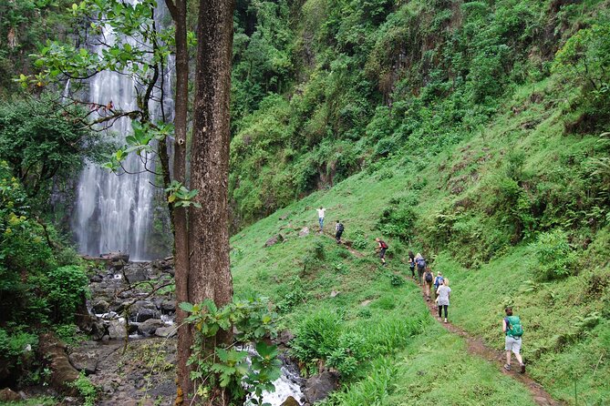 Swim to Materuni and Kikuletwa Hotspring - Good To Know