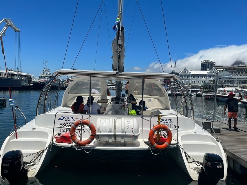Cape Town: Sunset Cruise by Catamaran to Table Bay