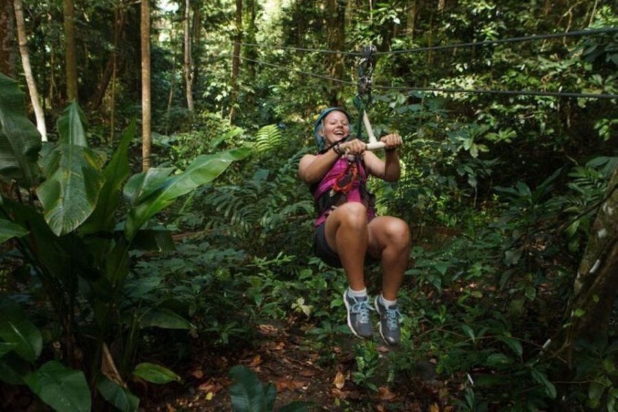St. Lucia: Zip Line, Aerial Tram, and Hiking Tour