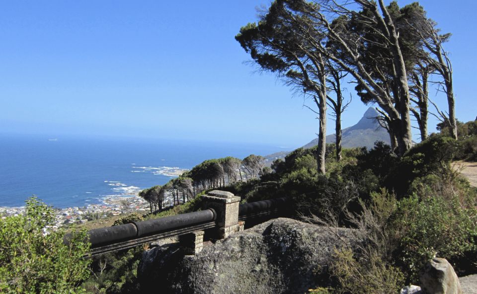 Table Mountain: Easy Walk for the Whole Family - PRIVATE - Good To Know