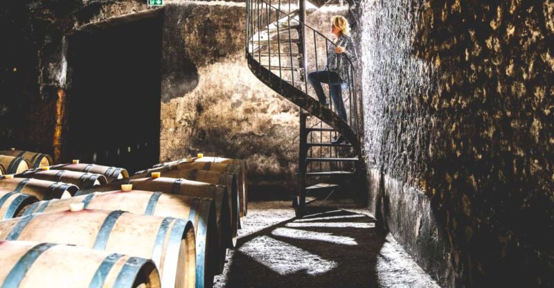 Taillan-Médoc: Château Visit and Wine Tasting in Bordeaux - Activity Overview