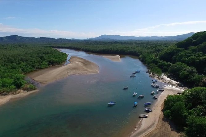 Tamarindo River Boat Tour - Good To Know