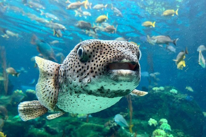 Tampas ZooQuarium Admission - Good To Know