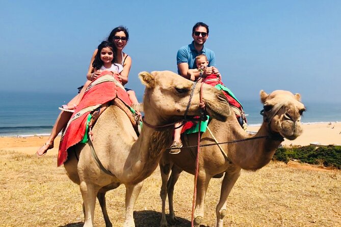Tangier Private Tour From Malaga or Marbella W/ Guide and Driver - Tour Overview and Details