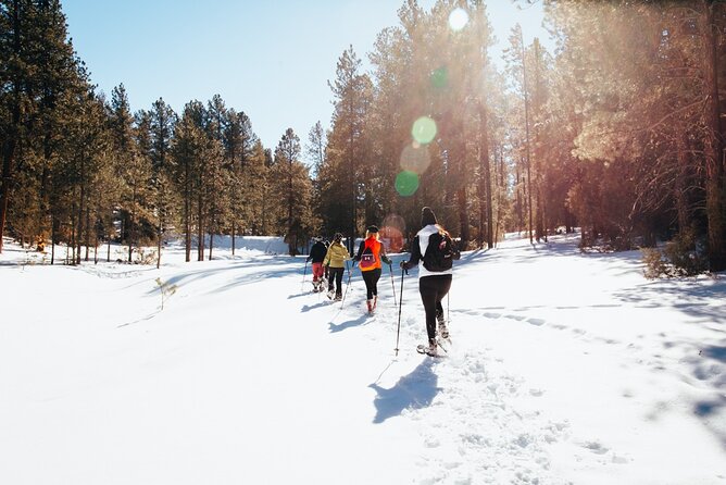 Taos Backcountry Snowshoe Tour - Good To Know