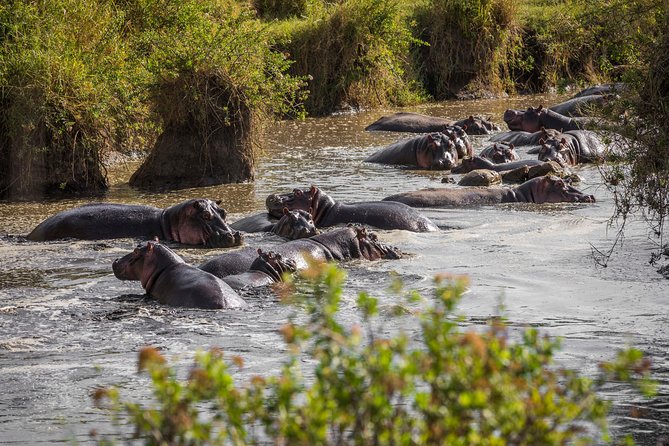 Tarangire, Ngorongoro & Lake Manyara Park 3 Days Private Tour - Tour Highlights