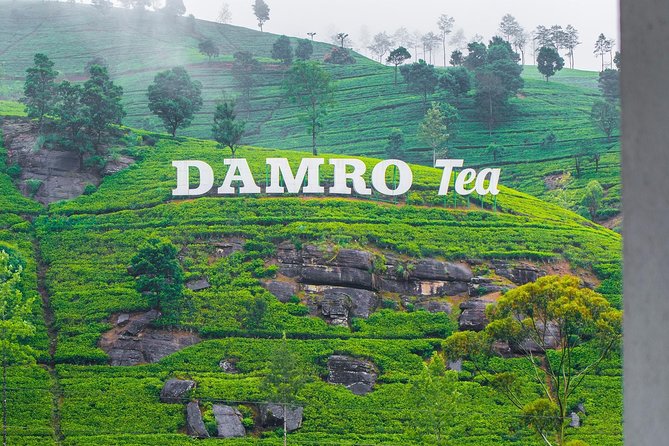 Tea Factory Plantation and Water Falls Tour - Good To Know