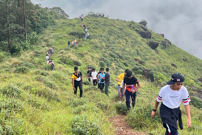 Tea Plantation, Grass Land and Mountain Hiking in Munnar - Good To Know