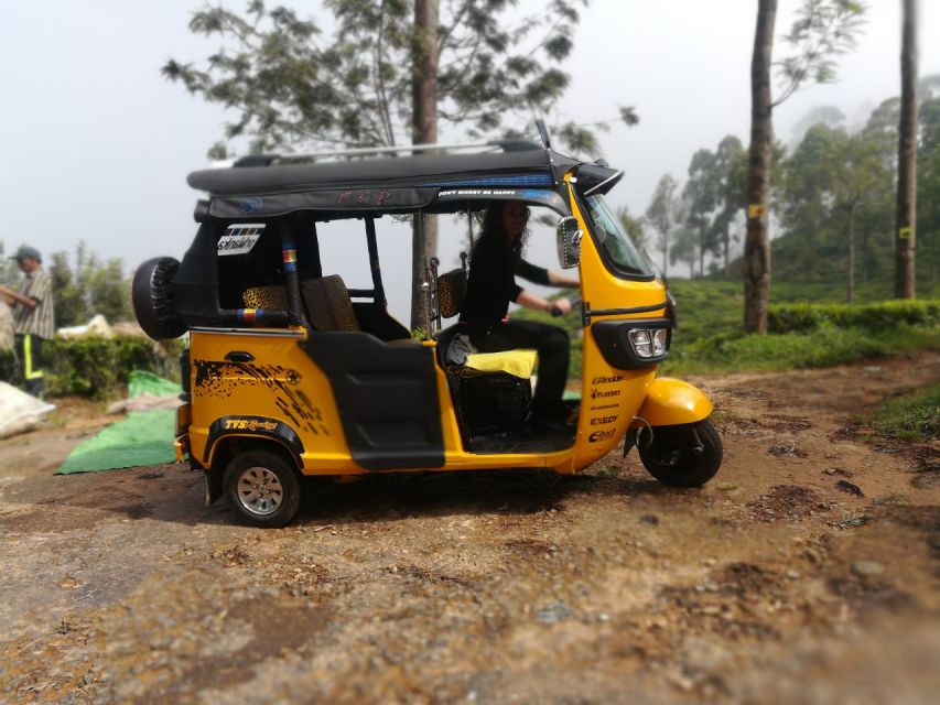 Tea Plantations by Tuk Tuk & Diyaluma Waterfall With Picnic - Good To Know