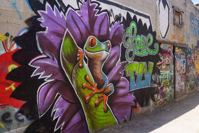 Tel Aviv Street Art & Graffiti Tour - Good To Know