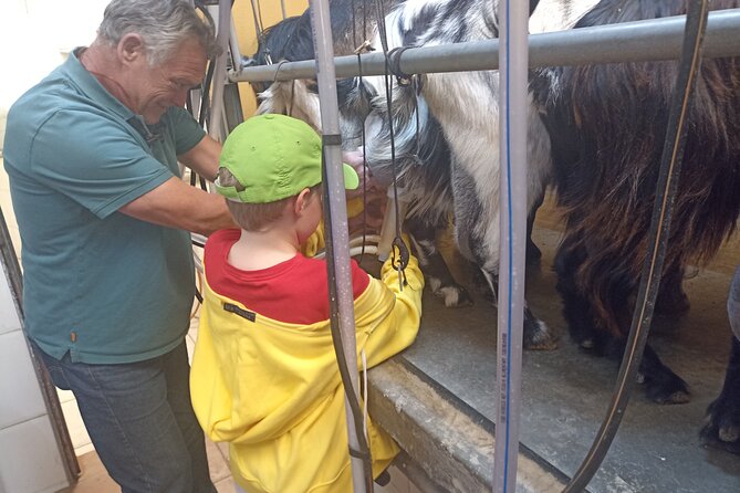 Tenerife Animal Farm Private Car Tour. Canarian Cheese and Wine - Tour Overview