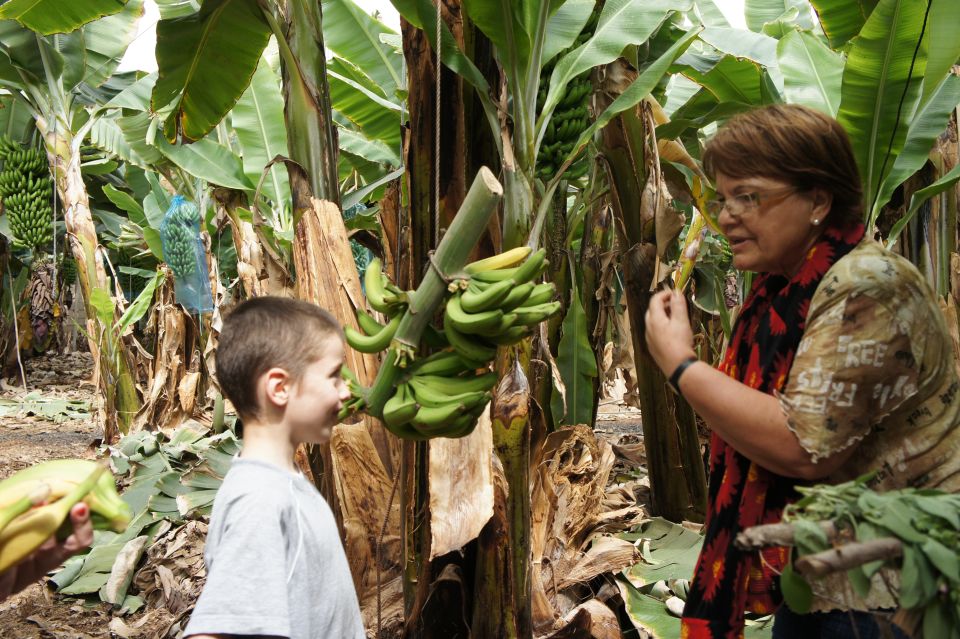 Tenerife: Finca Las Margaritas Banana Plantation Experience - Good To Know