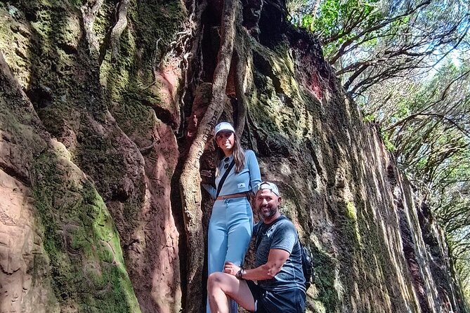 Tenerife: Hiking Tour in Anaga Mountains & Enchanted Forest - Good To Know