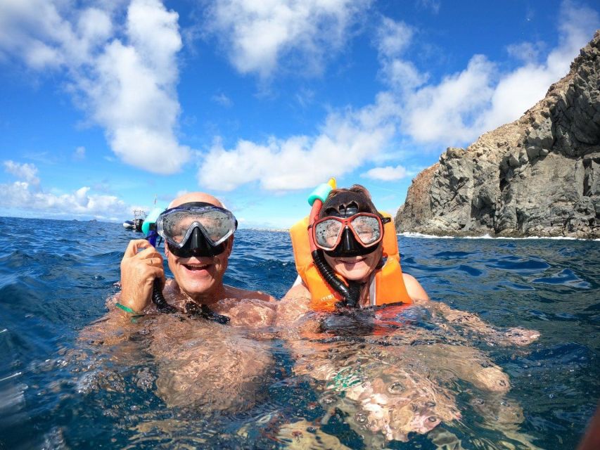 Tenerife: Kayak Safari With Snorkeling in a Turtle Habitat - Good To Know