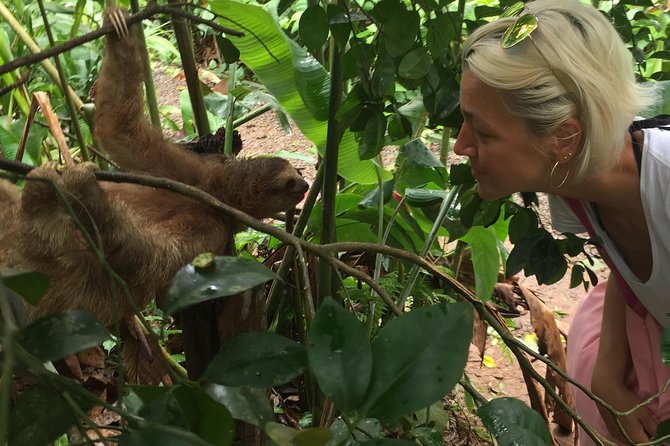 Tenorio Rain Forest Hanging Bridges & Sloth Encounter - Tour Overview