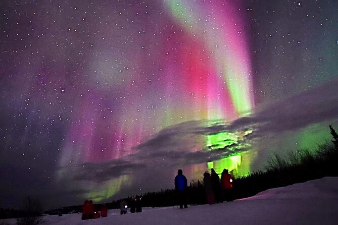 The Best Aurora Tour - Good To Know