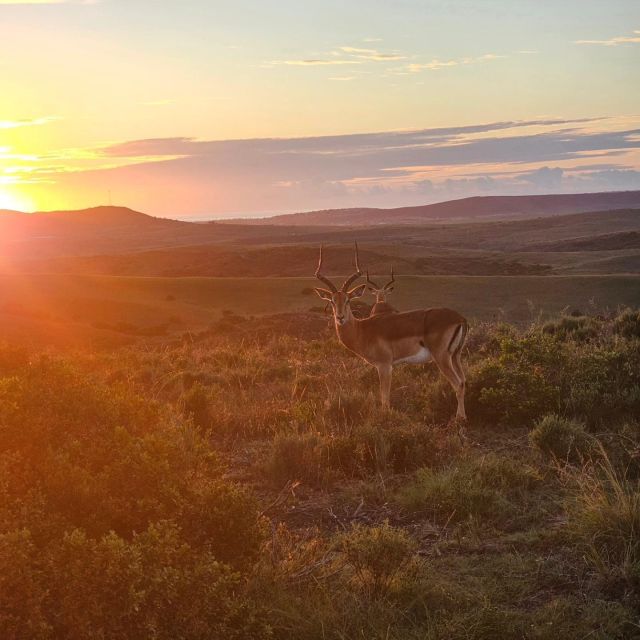 The Best Garden Route Budget Tour - Good To Know