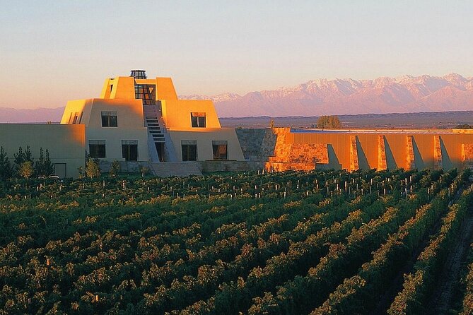 The Enemy Winery + Lunch in Angélica Zapata. Transfer Included - Good To Know