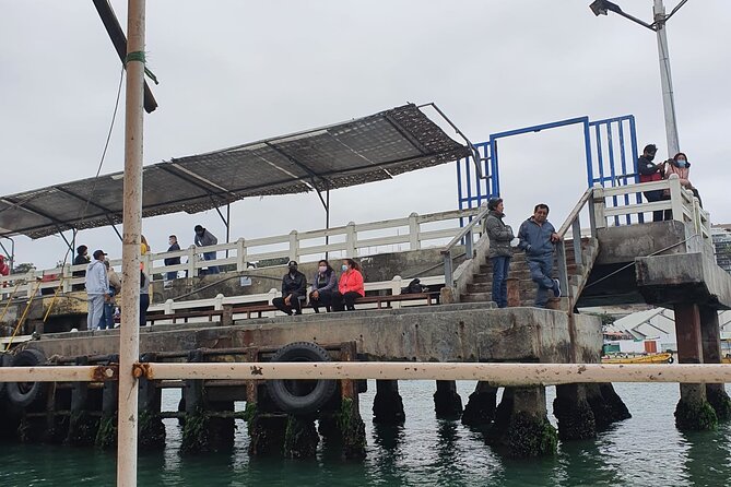 The Fisherman's Cove Adventure - Navigating Fishermans Cove Market