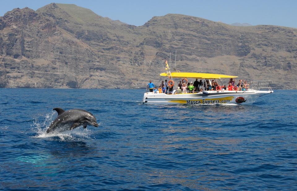 The Giants: Dolphin & Whale Watching Cruise With Swimming - Good To Know